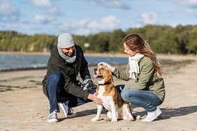 的夫妇与比格犬秋天的海滩秋天海滩上比格犬快乐的朋友高清图片素材